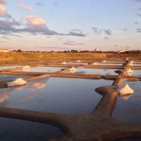 Marais Salants de Guérande tout près de la maison